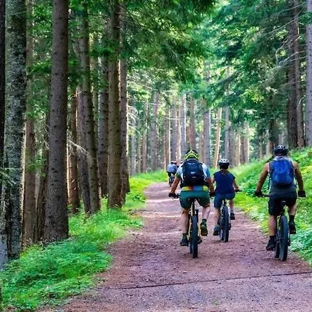 アパート Holiday Studio Near The Beach, Sarbinowo サルビノボ