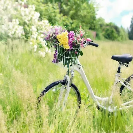 Holiday Studio Near The Beach, Sarbinowo *